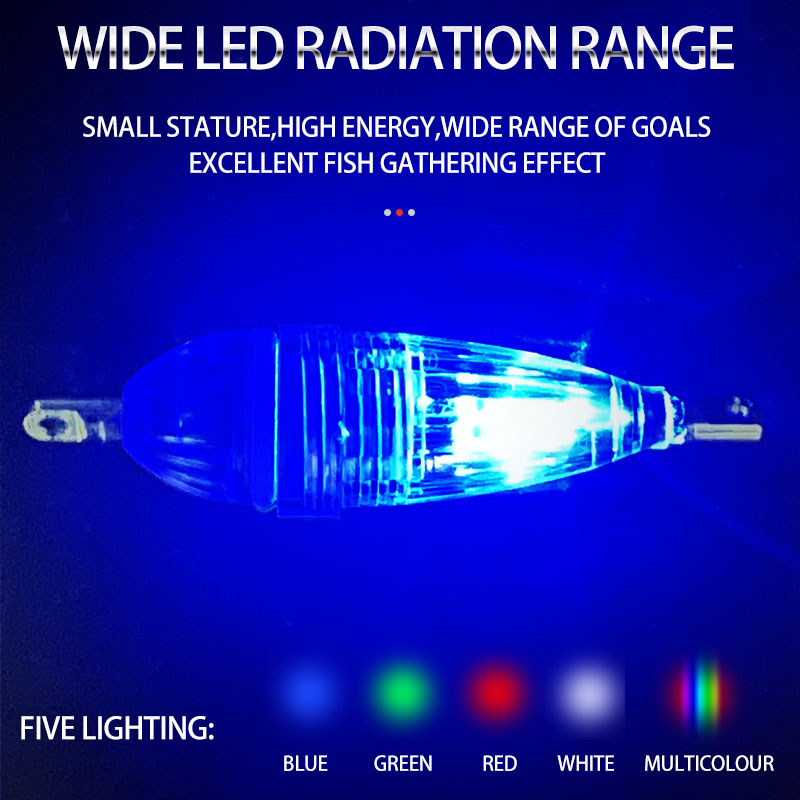 ShareShark 5個入り/袋 6cm LED点滅魚誘引 - Fish Finder Battery のレビューと価格