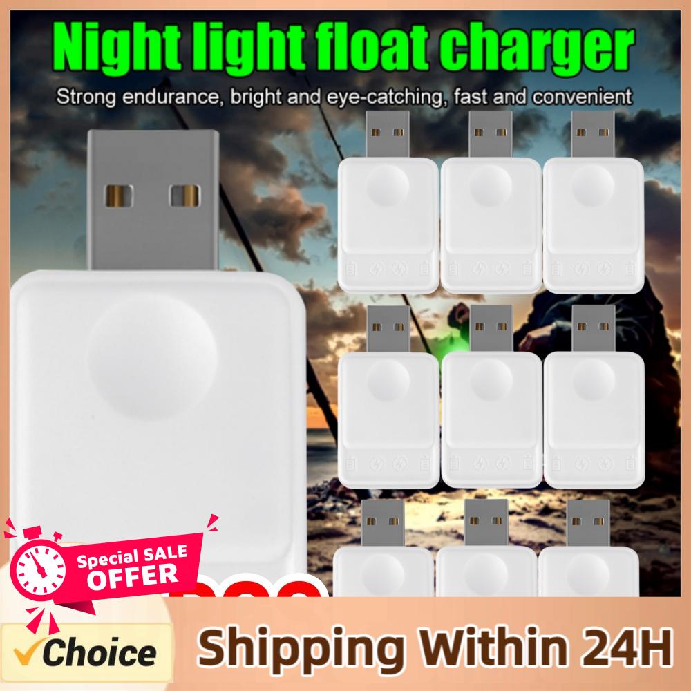 釣り用フロート発光充電式CR425バッテリー、2穴USB充電 - Fish Finder Charger のレビューと価格